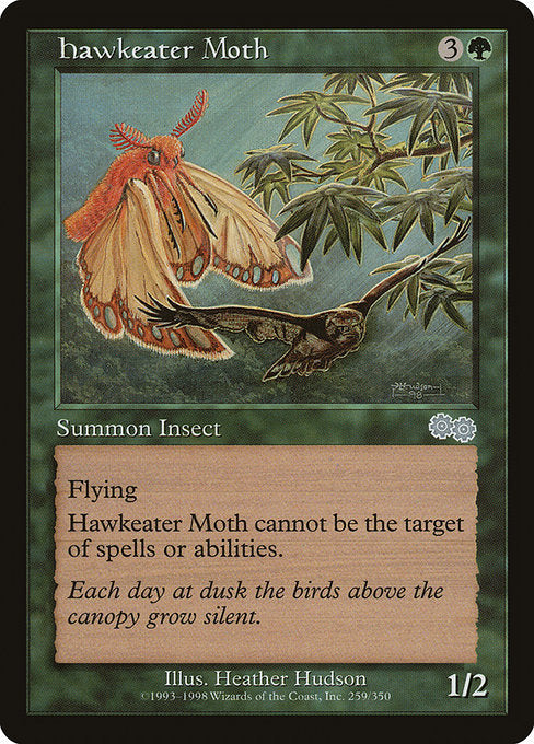 Hawkeater Moth