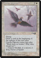 Carrier Pigeons